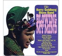 Blowing My Mind by The Barry Goldberg Blues Band
