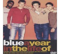 Blue - A Year In The Life Of [Alemania] [DVD]
