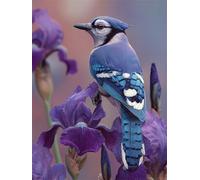 Blue Birds 5000 Piece Jigsaw Puzzles for Adults, Colourful, Challenging & Brainteasing Adult Puzzles 5000 Pieces Flower, Fun jigsaws for The Whole Family 61x41 Inch