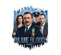 Blue Bloods: Seasons 1-4 [USA] [DVD]