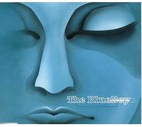 Blue Boy - Remember Me