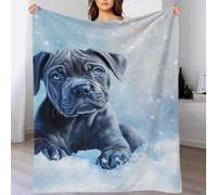 Blue Cane Corso Puppy in Snow Snow Guardian Puppy Print - Manta mullida para niños, fácil cuidado, manta masiva para cama, regalo para su amiga, mamá, abuela, esposa, 50 x 60 pulgadas (127 x 152 cm)