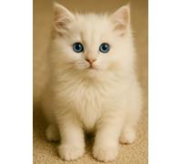 Blue - Eyed Whispers - A Cat - Inspired Journal: Guided the calm and charm of a white kitten