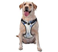 Blue Flowers In A Striped Vase Line Art - Arnés para perro, ajustable, reflectante, Oxford, fácil control, tamaño mediano y grande