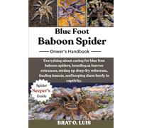 BLUE FOOT BABOON SPIDER: Everything about caring for blue foot baboon spiders, breeding at burrow entrances, setting up deep dry substrate, feeding insects, and keeping them hardy in captivity.