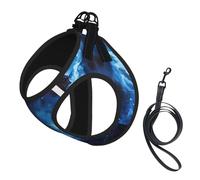 Blue Galaxy Print - Arnés para perro pequeño con correa, no Escape Easy Walk arneses para cachorros para entrenar y caminar