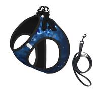 Blue Galaxy Print - Arnés para perro pequeño con correa, no Escape Easy Walk arneses para cachorros para entrenar y caminar