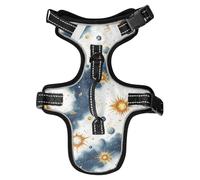 Blue-Gold - Equipo reflectante para pasear perros y perros, accesorios de trabajo, arneses para gatos, chalecos para perros, talla M