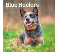 Blue Heelers | Mini calendario mensual de pared 2027 de 7 x 14 pulgadas (colgando) | BrownTrout | Animales razas de perros