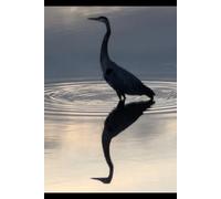Blue Heron Reflection Notebook: A Calm, Minimal Notebook for Notes, Thoughts & Reflection