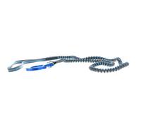 BLUE ICE Solo Leash - Unisex - Gris / Azul - talla única- modelo 2025