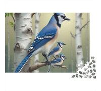 Blue Jay Bosque de Abedules Puzzle de 1000 Piezas Puzzle para Adultos Escena Natural Regalo Familiar 38x26cm/1000pcs