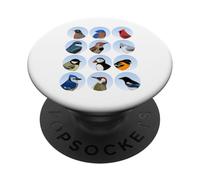 Blue Jay Cardinal Pájaro Biólogo Animal Ornitólogo Aves PopSockets PopGrip Adhesivo