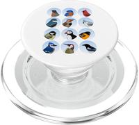 Blue Jay Cardinal Pájaro Biólogo Animal Ornitólogo Aves PopSockets PopGrip para MagSafe