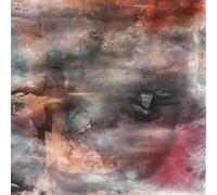 Blue Lick - Hold On Hold Fast [VINYL] [Vinilo]