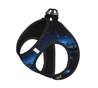 Blue Lights in The City at Night - Arnés para perro, equipado con correas reflectantes y hebillas de liberación rápida, adecuado para gatos y perros pequeños