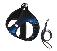 Blue Lights in The City at Night - Arnés para perro, equipado con correas reflectantes y hebillas de liberación rápida, adecuado para gatos y perros pequeños