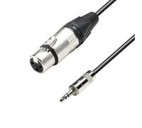 Blue-Music Neutrik K5 MYF 0300 Cable de Micro de XLR Hembra a Jack 3,5 mm estéreo 3 m
