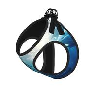 Blue Ocean - Arnés para perro con estampado de peces subacuáticos, chaleco ajustable y reflectante, para perros pequeños a medianos