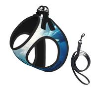 Blue Ocean - Arnés para perro con estampado de peces subacuáticos, chaleco ajustable y reflectante, para perros pequeños a medianos