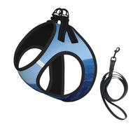 Blue Ocean - Juego de correa de arnés con estampado de mar para gato y perro, chaleco reflectante ajustable a prueba de fugas con malla suave transpirable, para mascotas pequeñas y cachorros gatitos