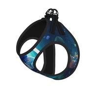 Blue Ocean - Juego de correa de arnés con estampado de peces subacuáticos para gatos y perros, correa reflectante ajustable a prueba de fugas con malla suave y transpirable, para mascotas pequeñas y