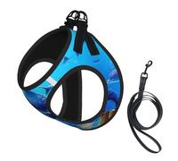 Blue Ocean Print - Juego de correa de arnés ajustable para gatos y perros, chaleco de malla suave y transpirable con diseño reflectante, correa a prueba de fugas para mascotas pequeñas, entrenamiento