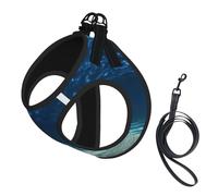 Blue Ocean Sea Print - Juego de correa ajustable para gatos y perros, chaleco de malla suave y transpirable con diseño reflectante, correa a prueba de fugas para mascotas pequeñas para entrenamiento