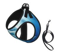 Blue Ocean Underwater Fish3 - Juego de arnés y correa para perro, transpirable, ajustable, a prueba de escapes, para perros y gatos