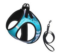 Blue Ocean Wave Print - Arnés para perro pequeño con correa, no Escape Easy Walk, arneses para cachorros para entrenamiento y caminar