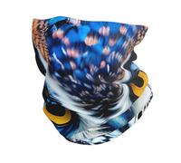Blue Owl 1 - Bufanda térmica para deportes al aire libre, esquí, ciclismo, correr, protección para la cabeza