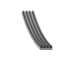 Blue Print AD04R946 - Correa trapezoidal (4 costillas), color azul