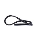 Blue Print AD13V1150 Correa Trapecial Poli V