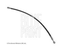 Blue Print ADC45373 Manguera de Freno Delantera para Mitsubishi Galant VI VIII