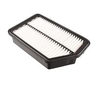 Filtro de aire BLUE PRINT ADG022100