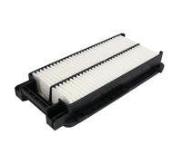 Blue Print Filtro de aire ADG022163 para coche