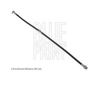 Blue Print ADN153172 Manguera de Freno Delantera Derecho para Renault Koleos I