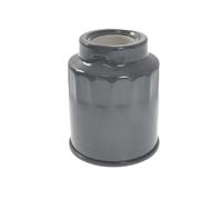 Blue Print ADZ92315 filtro de combustible