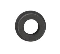 Blue Print Casquillo de cojinete de ballesta ADZ98002 para ISUZU, OPEL y VAUXHALL