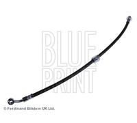 BLUE PRINT Manguera de Freno Delantera Derecho para Honda Civic VII ADH253142