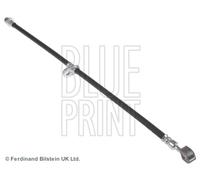 BLUE PRINT Manguera de Freno Eje Delantero Derecho para Honda Civic VIII Sedán