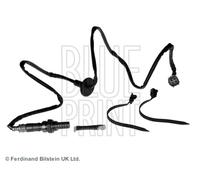 BLUE PRINT Sonda Lambda Izquierda Inferior para Toyota Avensis Familiar _ T22 _