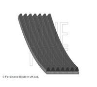 BLUE PRINT Trapezoidal para Hyundai H-1 / Starex 2.5 Crdi 4WD Kia Sorento i .