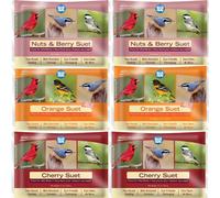 Blue Seal Berry Blend - Pasteles de sebo para pájaros silvestres, alimento para pájaros carpinteros, cardenales, gorriones y más, comedero de sebo de 11 onzas, pasteles de semillas de pájaros (paquete