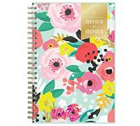 Blue Sky Day Designer for 2022-2023 Academic Year Weekly & Monthly Planner, 5' x 8', Frosted Cover, Wirebound, Secret Garden Mint (137900-A23)