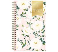 Blue Sky Day Designer for Blue Sky - Agenda semanal y mensual 2023, 5 x 8 pulgadas, cubierta de bolsillo transparente, encuadernada con alambre, rosas emergentes (140094-23)