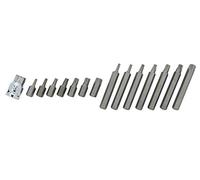 Blue Spot 1511 Torx Bit, Punta Atornillador, Plata, Set de 15 piezas