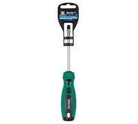 Blue Spot Tools 13006 - Destornillador ranurado, verde, 6,5 x 100 mm