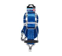 Blue Spot Tools - Cinta de Amarre con Trinquete Resistente 50mm x 10m (5000kg)