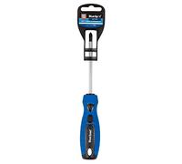 Blue Spot Tools Destornillador 13014, azul, PH2 x 100 mm